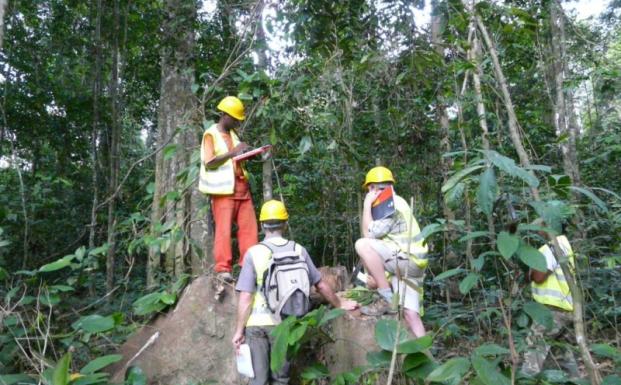Tre nye koncessioner i Cameroun er nu FSC-certificerede Tre nye koncessioner i Cameroun er nu FSC-certificerede