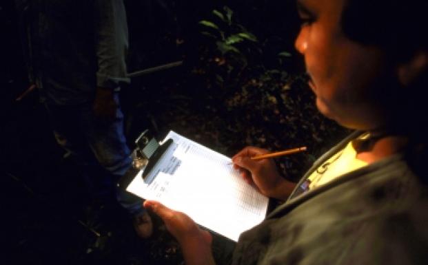 Suspendering af SGS HK ophævet Suspendering af SGS HK ophævet