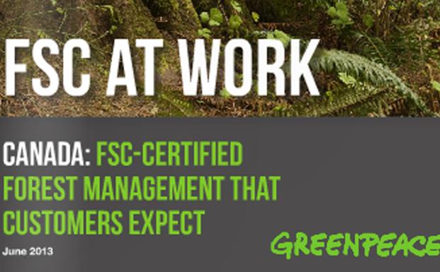 Greenpeace offentliggør casestudier om FSC Greenpeace offentliggør casestudier om FSC