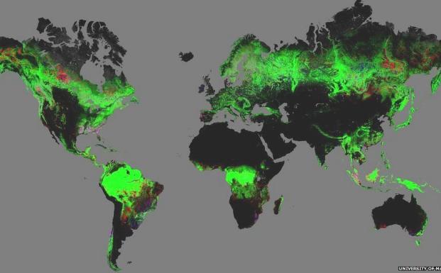 Google Earth-overblik over de globle skovforandringer Google Earth-overblik over de globle skovforandringer