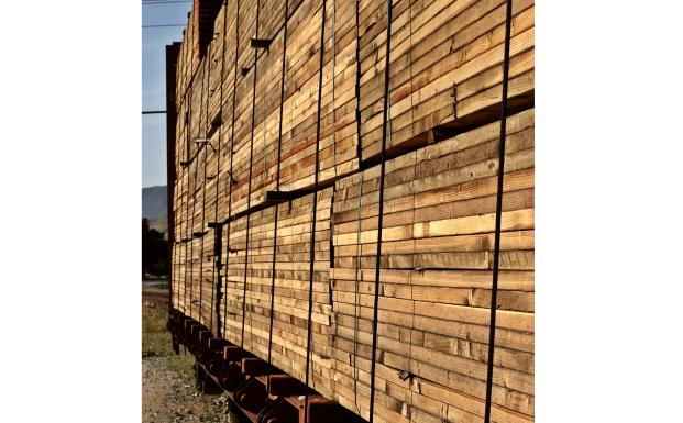 Klarhed omkring FSC’s rolle i implementering af EU’s Tømmerforordning