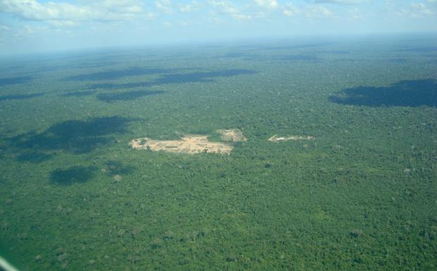 Droner sætter ind over for rydning af regnskov