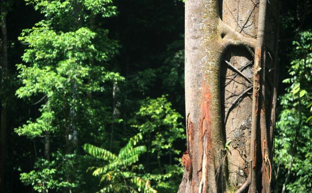 Lad os høre din mening: Anden offentlige høring om de Internationale Generiske Indikatorer (IGI’erne)