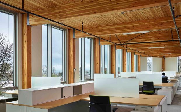 Alt træ, der er brugt i konstruktionen af Bullitt Center i Seattle, er 100 procent FSC Alt træ, der er brugt i konstruktionen af Bullitt Center i Seattle, er 100 procent FSC