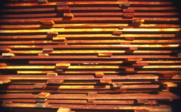 Belgiske arkitekter bruger FSC-træ i hvert andet projekt