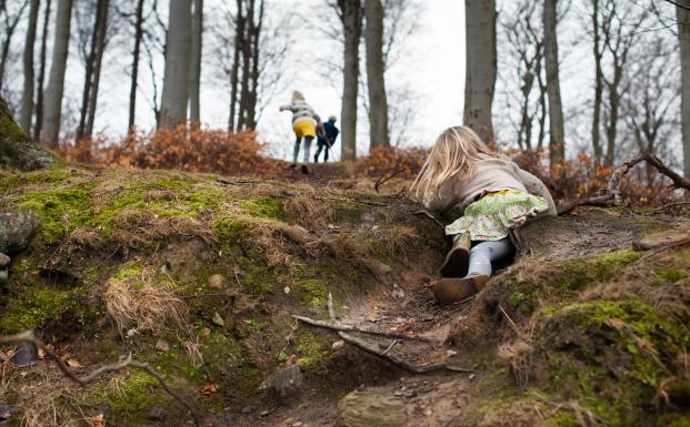 Dansk FSC-certificeret skov