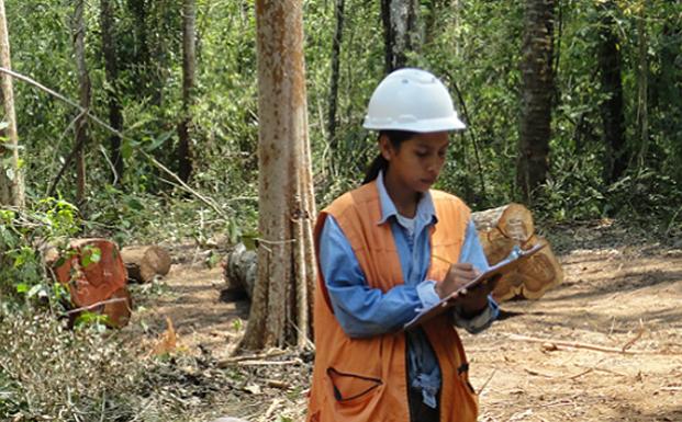 Trævolumen beregnes i Chiquitano-landsbyernes skov.