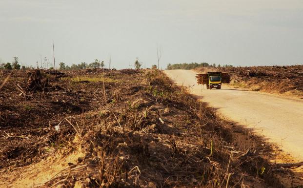 Afskåring i Indonesien