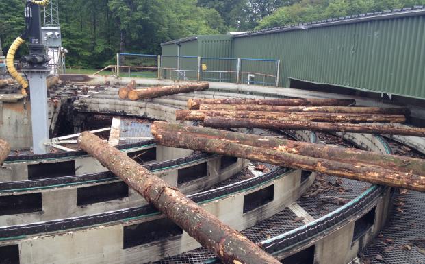 FSC-CoC-standarden er i høring