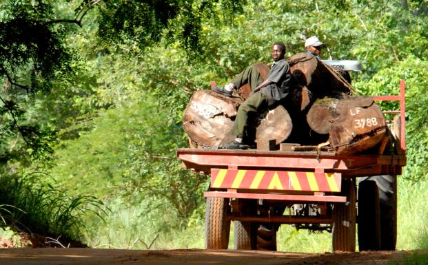 Naturstyrelsen: Opfordring til danske virksomheder