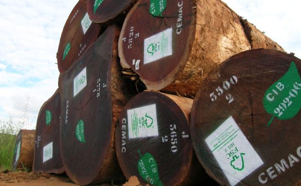 Soil Association Woodmark er blevet godkendt af EU som EUTR Monitoring Organisation.