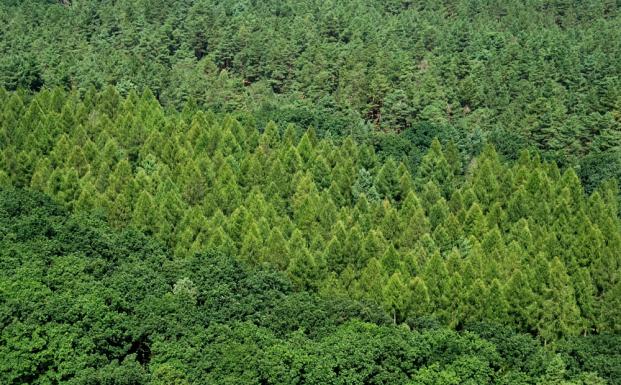 Centraliserede Nationale Risikovurderinger: Første høringsrunde starter