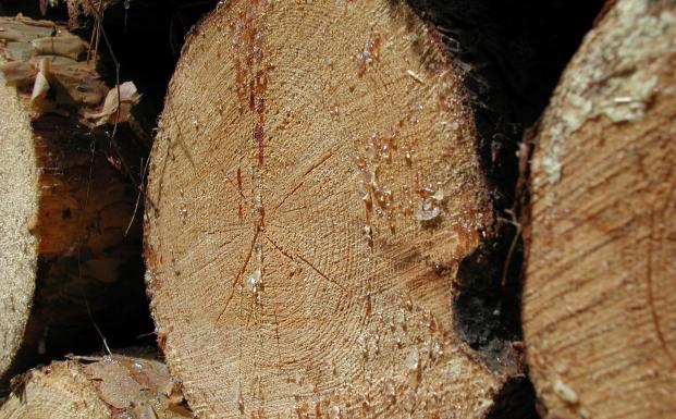 Norge implementerer EU&rsquo;s t&oslash;mmerlov