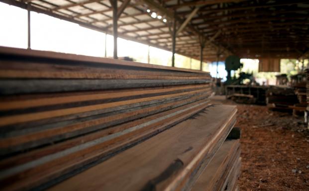 Det er nemmere end nogensinde at k&oslash;be FSC-certificerede produkter