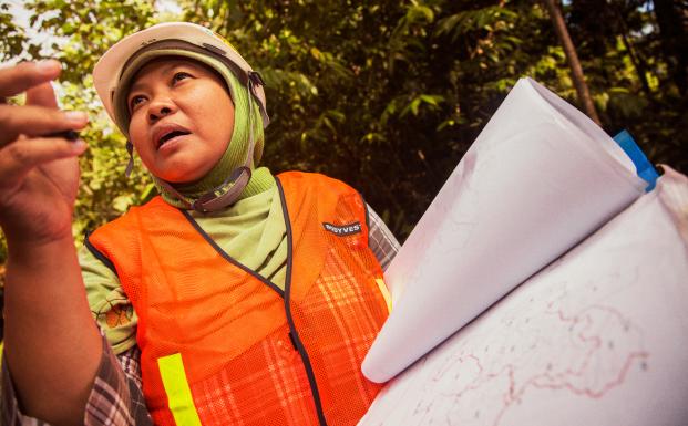 WWF-unders&oslash;gelse bekr&aelig;fter FSC's f&oslash;rerposition som den st&aelig;rkeste og mest trov&aelig;rdige certificeringsordning til skovbrug