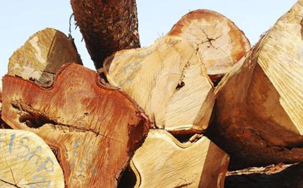 3,5 millioner hektar skov i Europas Gr&oslash;nne Hjerte er nu FSC-certificerede