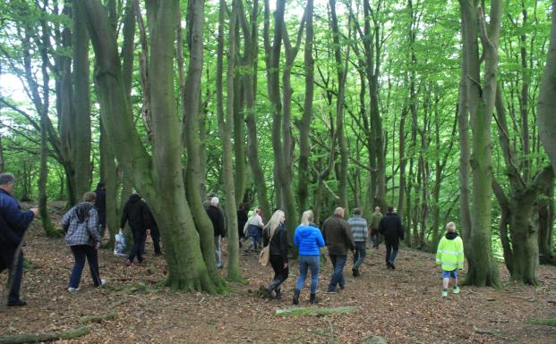 FSC Danmark og Fr&oslash;slev Tr&aelig; p&aring; skovtur