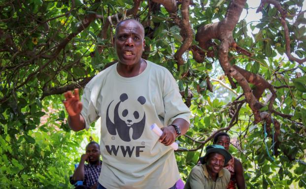 Ny unders&oslash;gelse: FSC-certificering skaber bedre skove i Tanzania