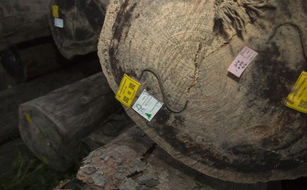 Foto: Morten Bo Johansson