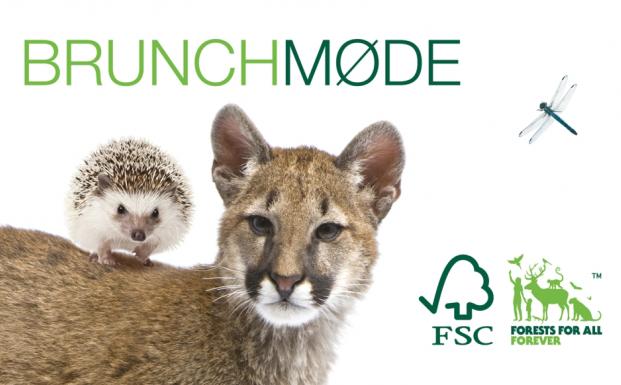 Bliv skarp på, hvordan du kan stille krav om bæredygtigt træ og sikre ordentlig kontrol