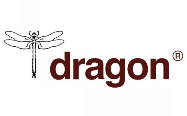 Dragon Logo Dragon Logo