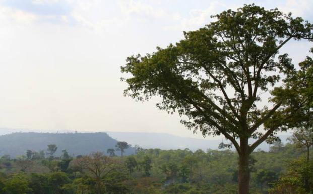 Ghana Ghana