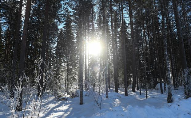 FSC Finland FSC Finland
