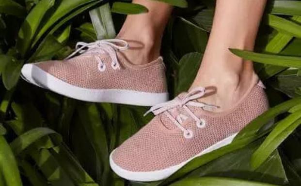 Allbirds Allbirds