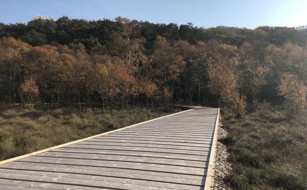 Boardwalk i Lille Vildmose Boardwalk i Lille Vildmose