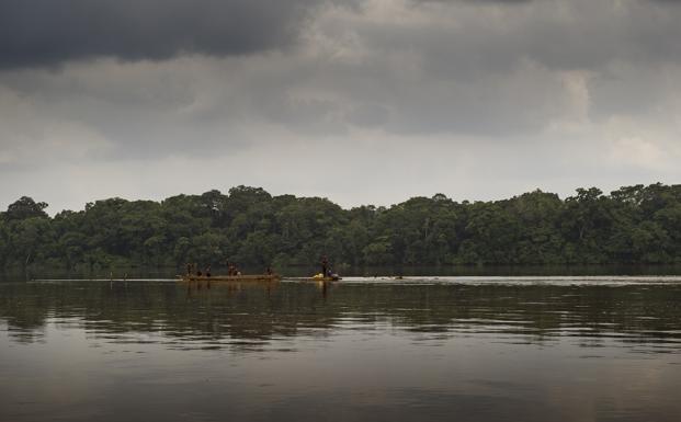 FSC Congo Basin