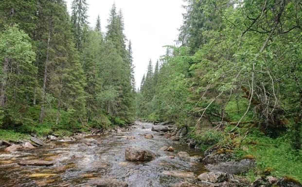 Norge Norge