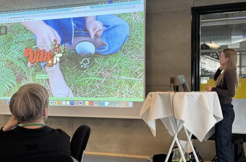 Kommunikationsnetværk 2025