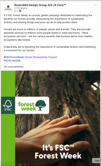 Rosendahl Design Group - Forest Week