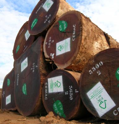 FSC kan hjælpe dig med tømmerlovgivning
