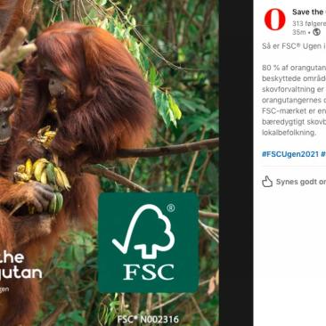 Red Orangutangen på LinkedIn
